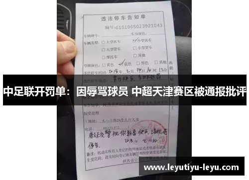 中足联开罚单：因辱骂球员 中超天津赛区被通报批评